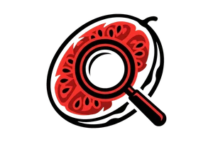 javubav一级毛片免费 - javubav免费全集 | 免费播放在线高清 - 吃瓜社Logo